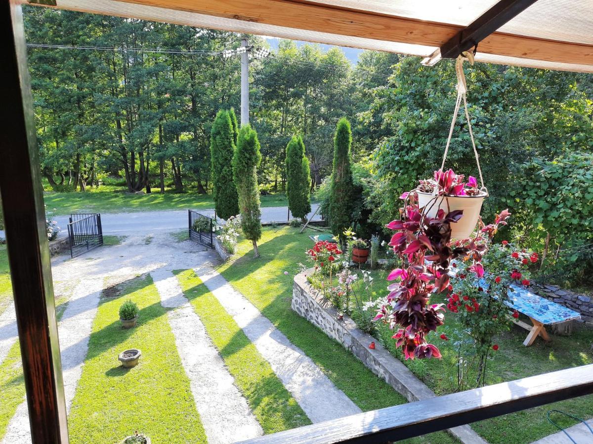 קורטאה דה ארגס Casa De Vacanta ,,La Valucu" מראה חיצוני תמונה